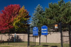 Fenced Bark Park with trees